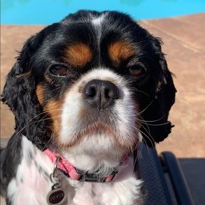 Meet your Posher, Jayne